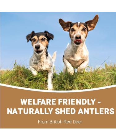 Pets Purest 100% Natural Red Deer Antlers for Dogs - 2 Small Stag Horn Bones - Premium Treat & Plaque Removal Chews - Buy Online on GoSupps.com