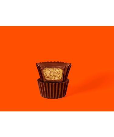Reese's Peanut Butter Cups Minis - American Classic Snack | 15 x 90g | International Shipping Available - Buy Online on GoSupps.com
