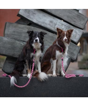 Buy Trixie Cavo V-Line Dog Leash L-XL - Adjustable 2.00m 18mm for Large Dogs - Fuchsia/Grafit | International Shipping - Buy Online on GoSupps.com