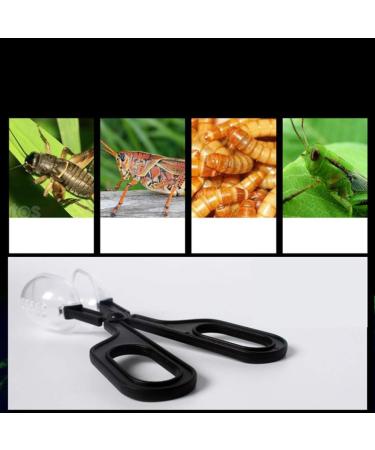 Toyvian Reptiles Zonge Clip - Feeding & Cleaning Tool for Amphibians Terrarium Spiders Crickets & Small Pets - 2 Pieces | Ideal for Aquariums - Buy Online on GoSupps.com