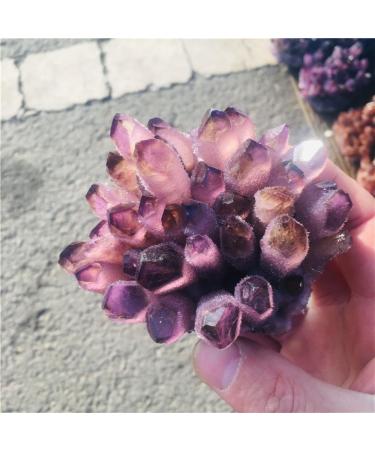 Natural Crystal Cluster Amethyst Specimen Purple Quartz Rough Crystals for Home Full of Texture - Buy Online on GoSupps.com