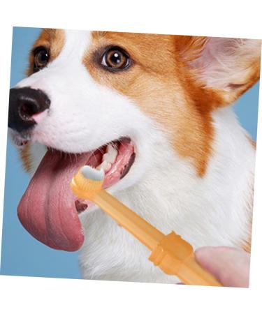 NOLITOY 1 Set Dogs Toothbrush Pet Oral Toothbrush Puppy Toothbrush Pet Supplies Toothpaste The Dog Oral Care - Buy Online on GoSupps.com