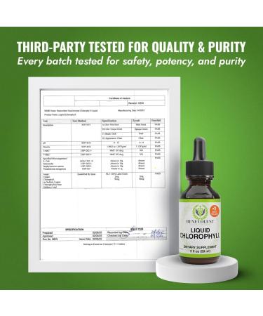 Chlorophyll Liquid Drops - Energy Boost & Immune Support | Internal Deodorant | Altitude Sickness Relief | Premium Quality Natural Formula | Minty Taste | 2X Absorption - Buy Online on GoSupps.com