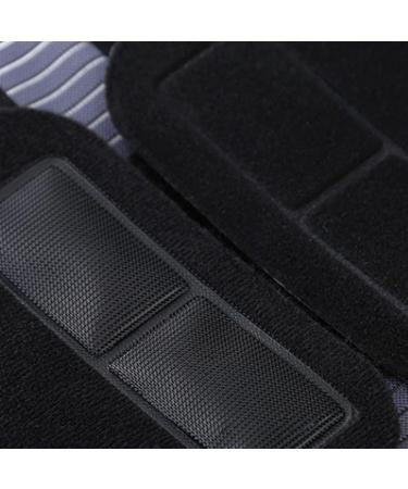 Buy TIIFFY Lumbar Support Back Support Belt - Adjustable Waist Support with Removable Pads & Steel Rails | Size L - International Shipping Available - Buy Online on GoSupps.com