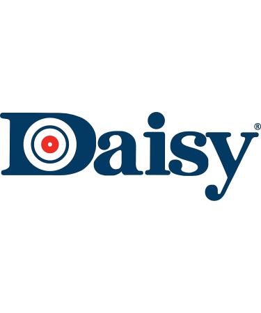 Daisy Outdoor Products 12g CO2 Cylinder - Silver (25 Count) - Buy Online on GoSupps.com