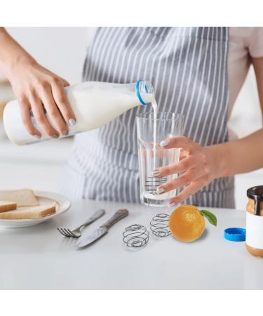 Buy 3PCs Stainless Steel Shaker Balls - Perfect Mixer for Protein Drinks & Bottles | Durable Wire Whisk Ball - Buy Online on GoSupps.com