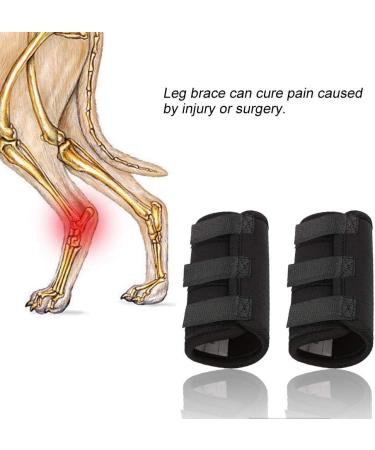 Smandy Dog Knee Pads 1 Pair Dog Knee Pads Pet Knee Brace Surgical Wound Protectors for Body Injuries(M) - Buy Online on GoSupps.com