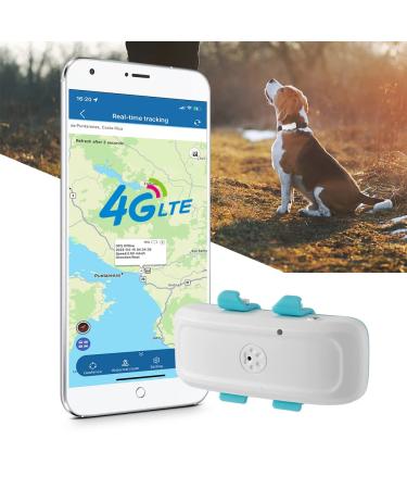 Dog GPS Tracker 4G LTE Dog Tracker 700mA Standby 7 Days GPS Tracker for Dogs Mini GPS Tracker for Dog Collar Dog Stuff 10 Hours Work Dogs Accessories (TK4G-911pro)