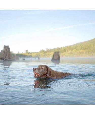 Buy Chuckit Ultra Ball XXLarge - Durable Floating Dog Ball - 10 cm Compatible with Launchers - Perfect for Fetch & Water Play - Buy Online on GoSupps.com