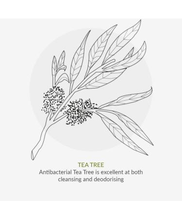 Green People Teen Skincare Set | Skincare Set for Teenagers Girls & Boys | Face Wash Serum & Moisturiser | Spots & Blemishes | Preppy Skincare | Gift for Teen Pre-teen & Tween | Cruelty-Free & Vegan - Buy Online on GoSupps.com