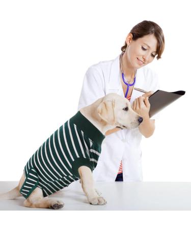 Buy HJYOKUSO Surge Suits for Dogs - Male & Female E-Collar Alternative for Surgery Recovery - Green XS for Postoperative Wounds - Buy Online on GoSupps.com