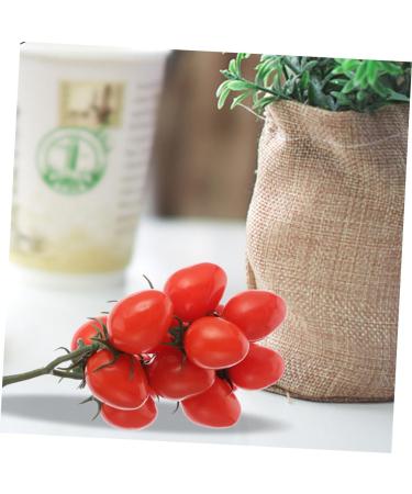 TOPPERFUN 2pcs Simulated Fruit Skewers Foam Fake Fruit Props Ornament Home Decor Models Lychee Fruit Home Supplies Fruit Photography Props Party Decor Tomato Longan Red Plastic - Buy Online on GoSupps.com