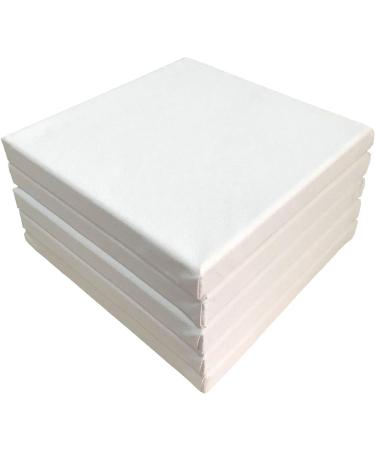 SL Crafts Artist Mini Stretched Canvas 6x6 - Pack of 6 Professional Quality Frames - Buy Online on GoSupps.com