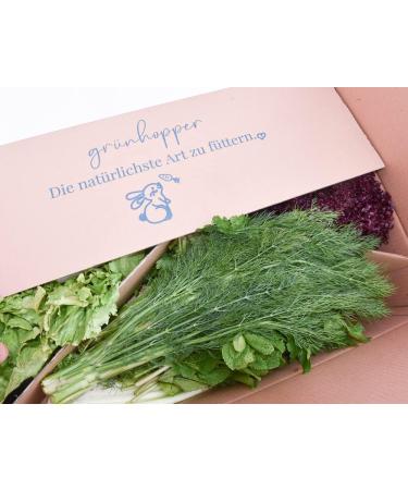 Fresh Box 5kg Colorful Variety - Premium Rabbit Box for International Shipping - Buy Online on GoSupps.com