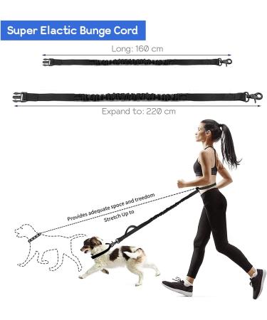 Edipets Hands-Free Jogging Leash for Dogs - Reflective Anti-Stress 160-220 cm Perfect for Running & Hiking - Blue - Buy Online on GoSupps.com