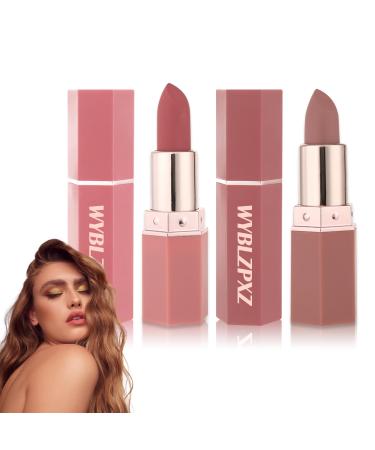 2PCS Mini Capsule Pills Lipstick Set Matte Lip Stain Long Lasting Waterproof Lip Gloss Kit Pill Shaped Lipstick Lip Balm Suit for Women Girls(01+03)