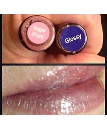 Sugar Plum LipSense WonderLand - Holiday Special Edition | SeneGence - Shop Internationally - Buy Online on GoSupps.com