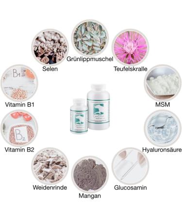 Canimove Motion Mini: 100 Joint Tablets for Small Dogs with MSM Hyaluronic Acid & Veterinary Formula - Optimize Mobility & Health - Buy Online on GoSupps.com