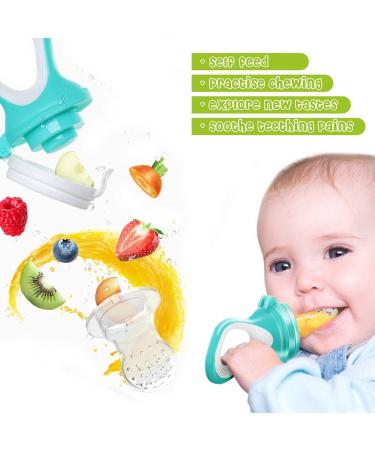 Fruit Teat for Baby & Toddler - BPA-Free Silicone Teats (3 Sizes) | Pacifier Teething Ring for Fruits Veggies & Porridge - Pink - Buy Online on GoSupps.com