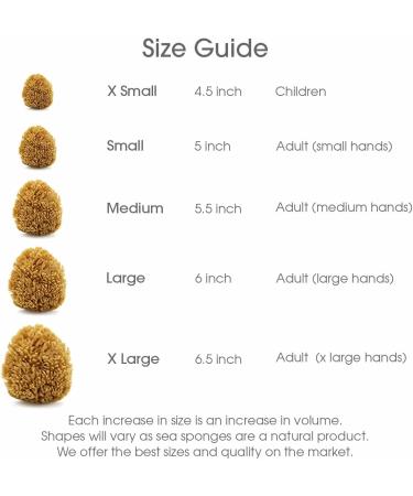 Naroa Unbleached Grass Sea Sponge Natural Exfoliating Body Pouf - Mediterranean Scrub for Adults Shower and Bath (Medium) - Buy Online on GoSupps.com