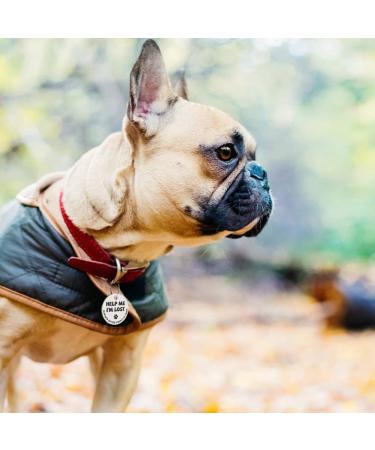 MYLUCKYTAG Stainless Steel QR Code Cat Tags - Scan QR for Instant Pet Location Alert - Pet Online Profile - Help Me Im Lost - Silver - Buy Online on GoSupps.com