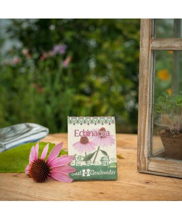 Die Stadtg rtner Sun Hats / Echinacea Seeds | Medicinal and Eye-Catching Plant | Seeds for 80 Plants - Buy Online on GoSupps.com