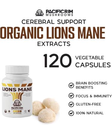 Lions Mane Supplement Capsules Organic Mushroom Extract Supplement Ultra Strength 10:1 Lions Mane Mushroom Supporting Memory Cognition Brain Fog 120 caps 120 Count (Pack of 1) - Buy Online on GoSupps.com