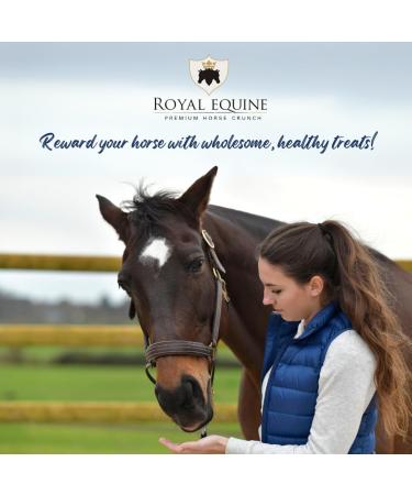 Royal Equine Premium Horse Crunch Healthy Horse Treats - Canadian-Sourced All-Natural Ingredients Crunchy Baked Cubes. GMO-Free No Preservatives Rye Barley Oats Base. (Sweet Banana) - Buy Online on GoSupps.com