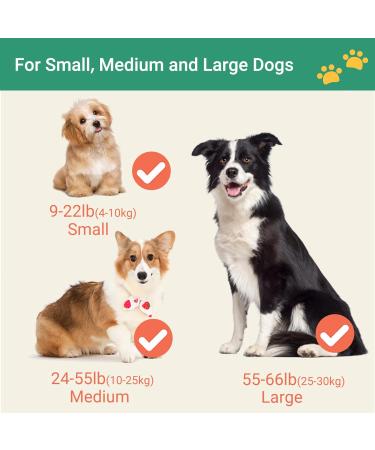 Happy & Polly Dog Leash Retractable Dog Leash Heavy Duty 5M Dog Walking Leash with Flashlight Detachable/Protective Bungee Leash/Magic Box Dispenser Poop Bags for Small Medium Dogs (Green) Green 16.4ft - Buy Online on GoSupps.com