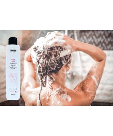  ARMLAZER Shampooing douche Hair & Body Wash (Wild Rose) - Buy Online on GoSupps.com
