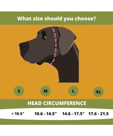 Safe Dogs Ears XL Hearing Protection - Prevent Hearing Damage for All Dog Breeds - Buy Online on GoSupps.com