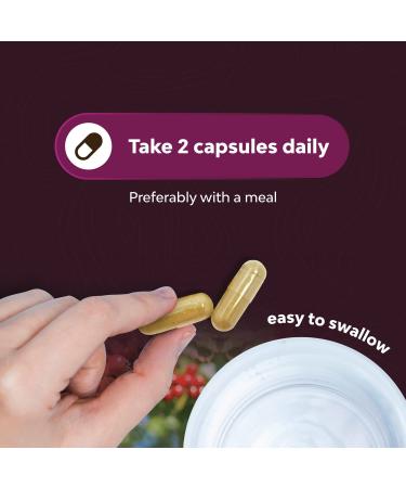 Extra Strength Hawthorn Berry Capsules - 1330mg 4:1 Extract Heart Health Supplement | High Pressure & Cholesterol Support | Non-GMO Polyphenol Formula for Men & Women - Buy Online on GoSupps.com