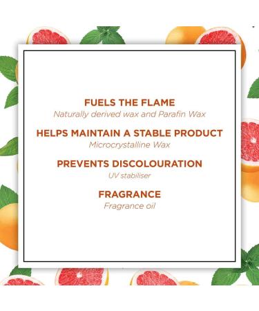 Botanica by AirWick Naturally Derived Wax Candle - Moroccan Mint & Pink Grapefruit | Up to 40 Hours Burn Time | Pack of 1 - Buy Online on GoSupps.com