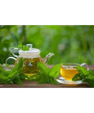Catnip Herb Tea | Nepeta Cataria L | Cataire Herbe Tisane Health Embassy (100g) - Buy Online on GoSupps.com
