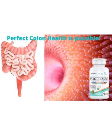 120 Capsules - 7 in 1 Cleanse & Detox for Digestive Health, Weight Loss & Gut Flora by Kappa Nutrition - Buy Online on GoSupps.com