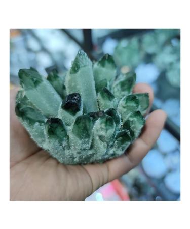 for 300-400g Natural Green Ghost Quartz Crystal Cluster Crystals raw Gem Specimen for Home&Office Decoration fengshui