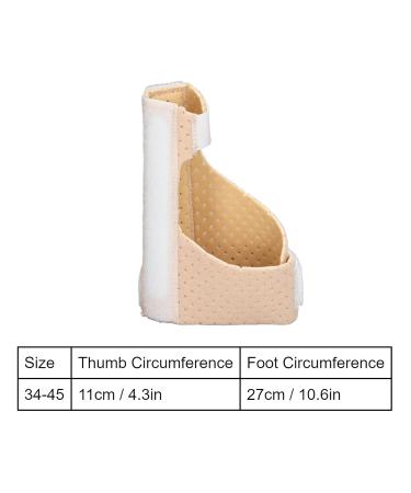 TMISHION Hammer Toe Straightener - Cushioned Bandage for Toe Straightening and Stress Reduction - Adjustable Claw Corrector for Right Foot - Buy Online on GoSupps.com