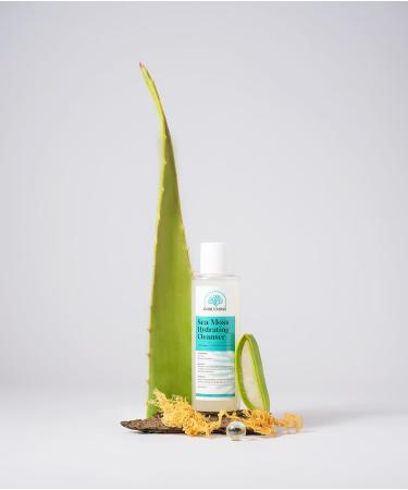 Sea Moss Hydrating Cleanser Gel - 5.04 Fl Oz | Nourishing & Revitalizing Skin Care | International Shipping Available - Buy Online on GoSupps.com