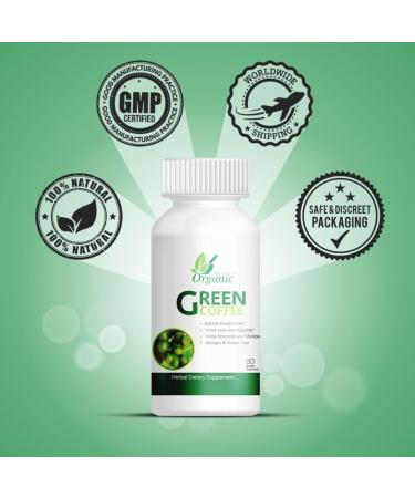Ayush Remedies Green Coffee Bean Extract 480mg with Magnesium Stearate Venetable Cellulose (Capsules) 180 Capsules Pack of 2 (90 Pills x2) - Buy Online on GoSupps.com