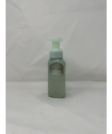 Fresh Sparkling Snow Gentle + Clean Foaming Hand Soap 8.75 fl oz / 259 mL