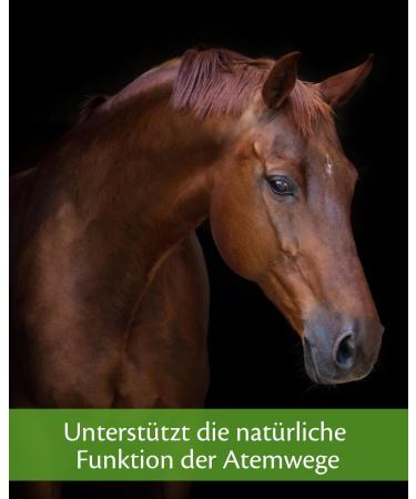 EQUISTRO Sekrosan Supplement for Horses to Support Normal Operation of Upper Airways Can Strengthen Respiratory Function 1 Litre - Buy Online on GoSupps.com