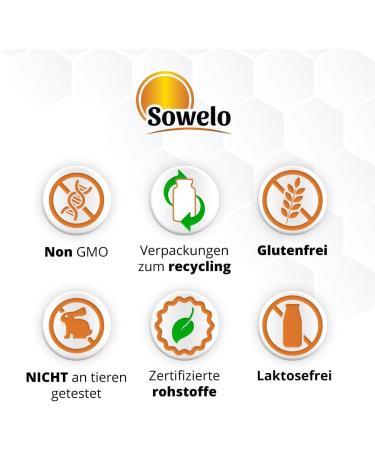  SOWELO L-Theanine | 200 mg | Vegan Friendly Theanine | Food Supplement | Amino Acid | 120 Capsules - Buy Online on GoSupps.com