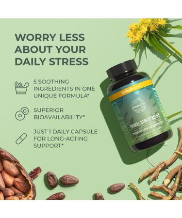 Primal Harvest Stress Relief Supplement for Women and Men Pure Ashwagandha Root Extract L-Theanine Supplements 30 Capsules Unflavored 30 Count (Pack of 1) - Buy Online on GoSupps.com