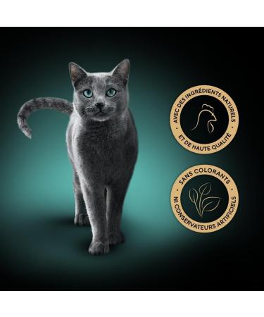 Sheba Domes Fillets Wet Adult Cat Food Chicken Tapered Fillets Pack of 2 x (16x60g) - Buy Online on GoSupps.com