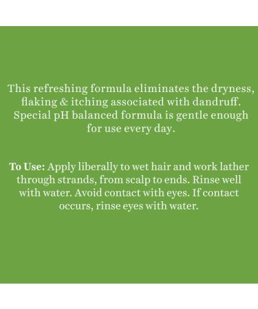 Biotique Bio Neem Margosa Anti Dandruff Shampoo & Conditioner - 340ml | Natural Hair Care | International Shipping - Buy Online on GoSupps.com