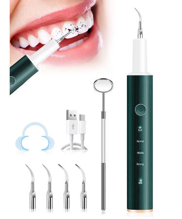 Tartar removal tooth cleaning set for care of tooth at home tooth cleaning set for humans and dogs with 4 adjustable modes and 4 interchangeable cleaning heads