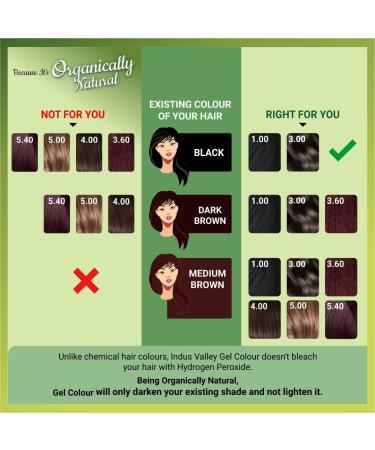 Indus Valley Organic Permanent Gel Hair Color - Ammonia Free, Vegan, Cruelty Free | Black 1.0 | 100% Gray Coverage | Doctor Recommended | Bio Natural Certified - Buy Online on GoSupps.com