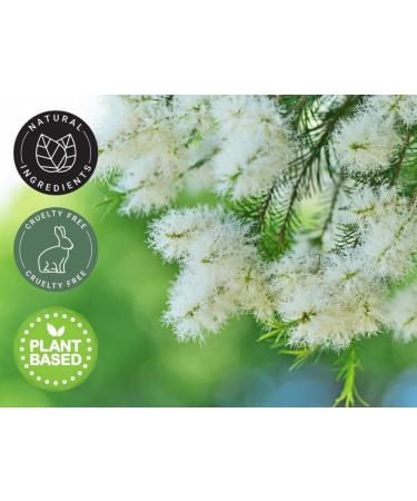Buy Tea Tree Essential Oil - 100% Pure 8 fl oz in Aluminum Bottle | GreenHealth - International Shipping Available - Buy Online on GoSupps.com