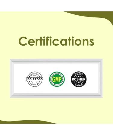 Mi Nature Amla Powder by mi nature| Amalaki or Indian Gooseberry |Vitamin C |454g (16 oz) | Non-GMO |Pure & natural | Raw Vegan Gluten-free | Made in India Preservatives free - Buy Online on GoSupps.com