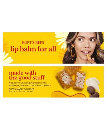 Burt's Bees Strawberry Lemonade Lip Balm - 2 Tubes (0.15 oz) | Natural Moisturizing Lip Care - Buy Online on GoSupps.com